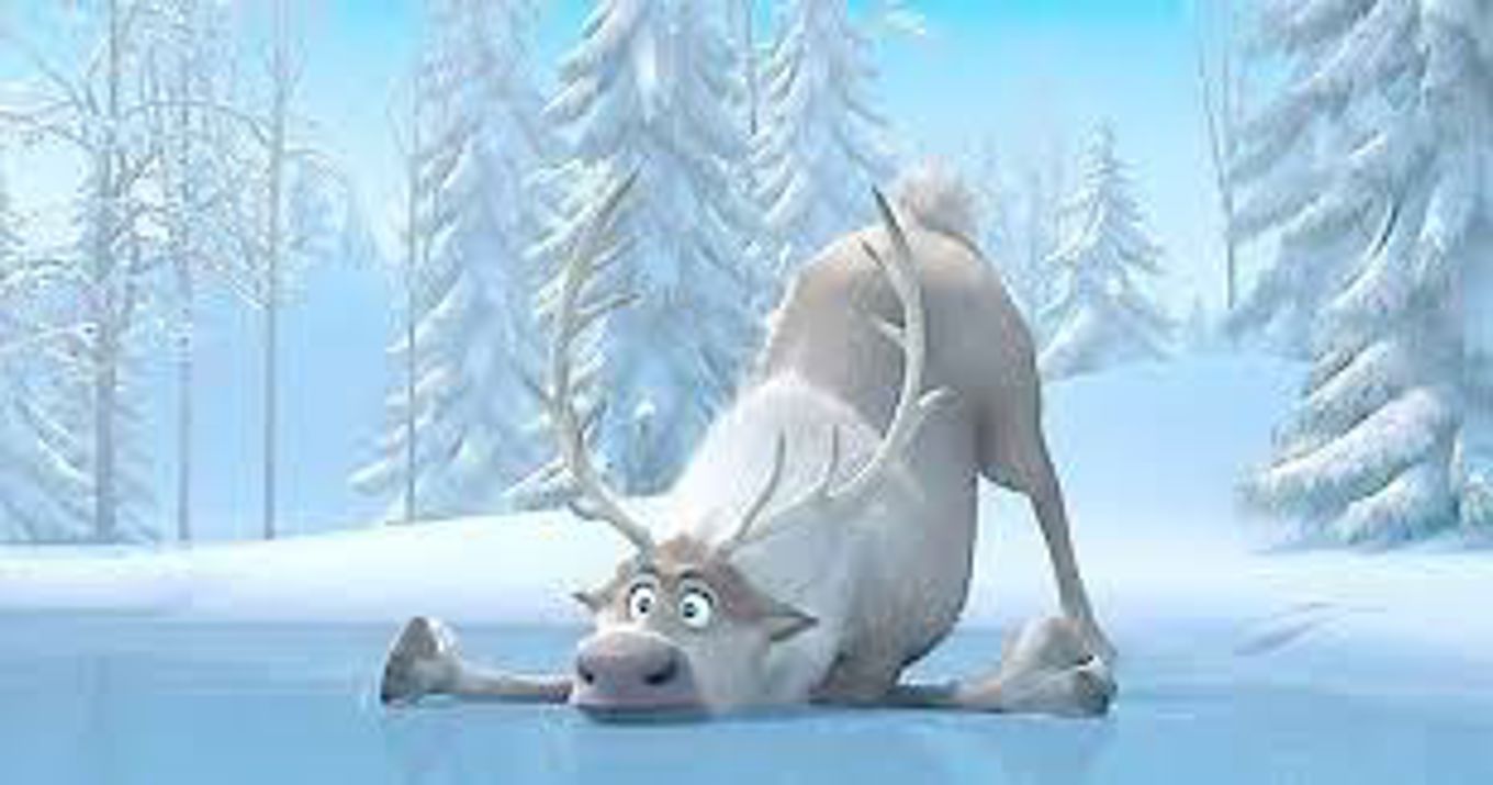 en hvit hest med lang hale