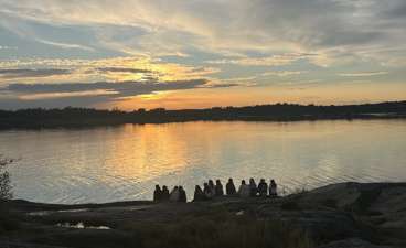 En gruppe fugler som sitter på en stein ved en innsjø
